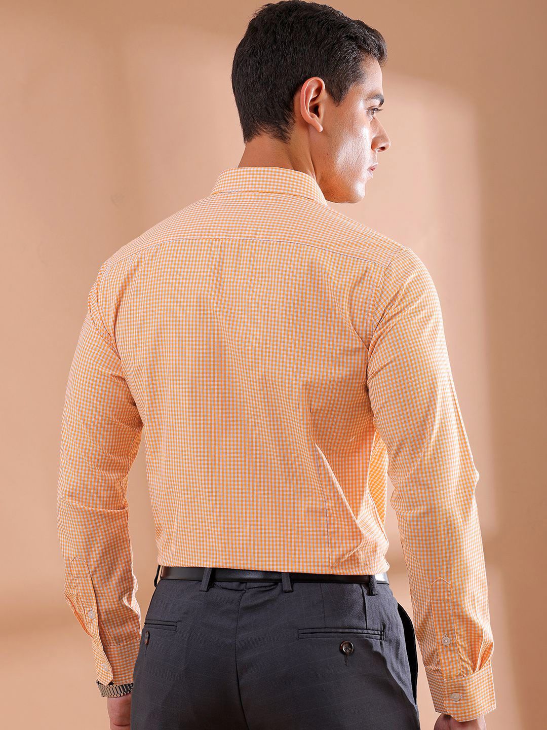 The Indian Garage Co. X Luxe Men Slim Fit Micro Checks Formal Shirt