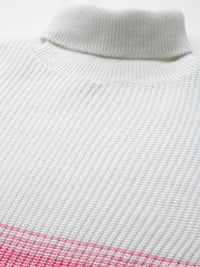 DressBerry Full Sleeves High Neck Colourblocked Mini Sweater Dress