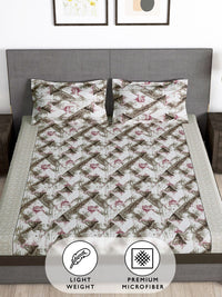 Story@home Brown & White 180 TC Queen Bedsheet with 2 Pillow Covers