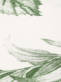 Being Human Graphic Printed Pure Cotton Slim Fit T-shirt