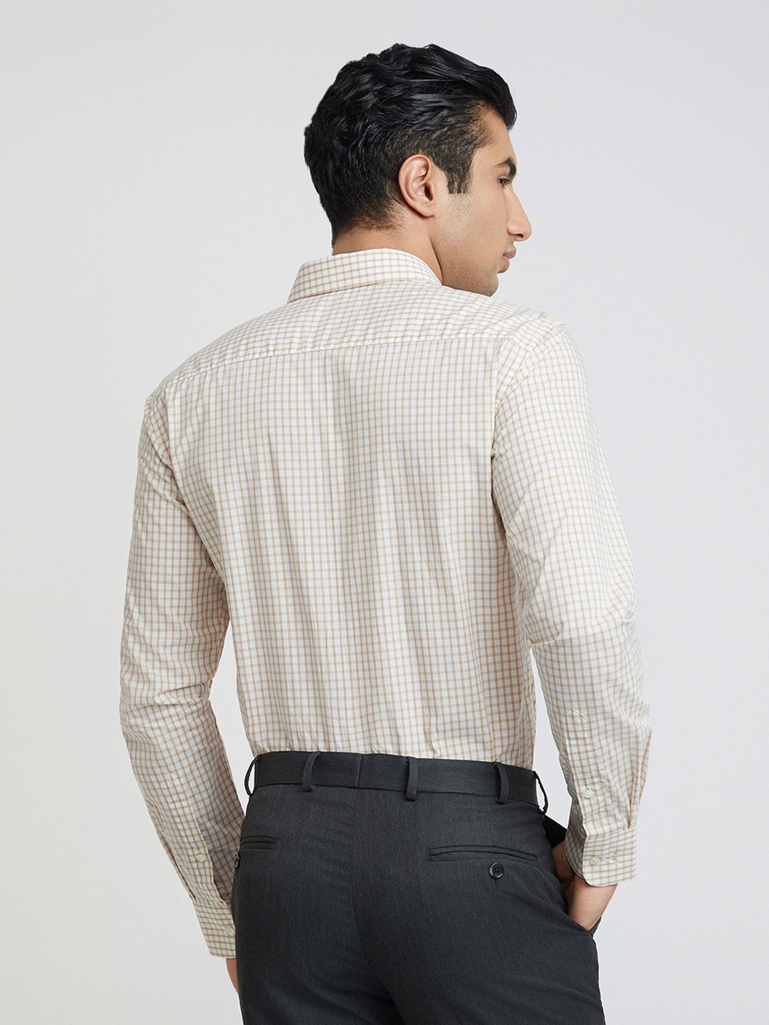 Park Avenue Slim Fit Checked Pure Cotton Formal Shirt