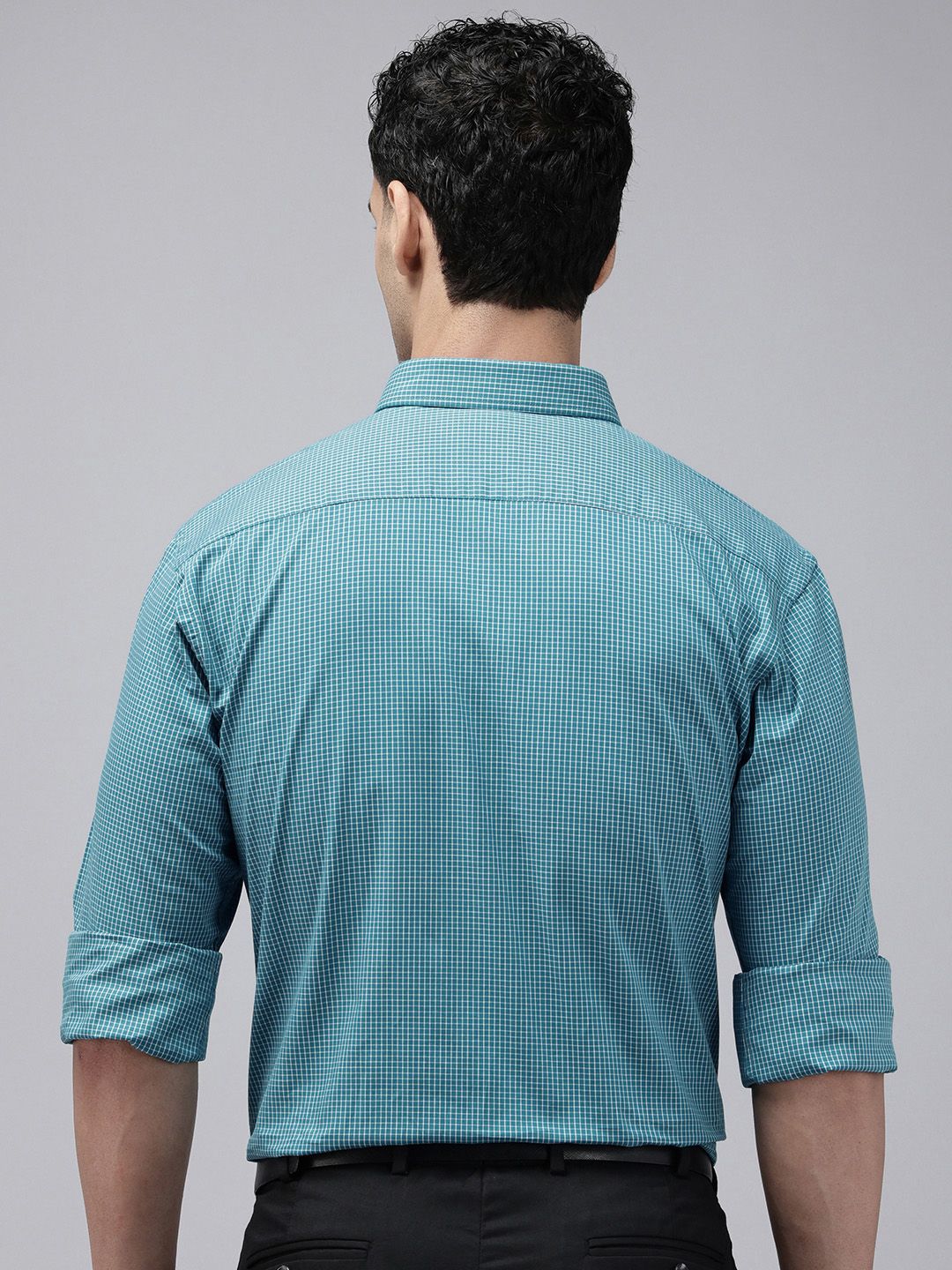 Park Avenue  Slim Fit Micro Checks Pure Cotton Formal Shirt