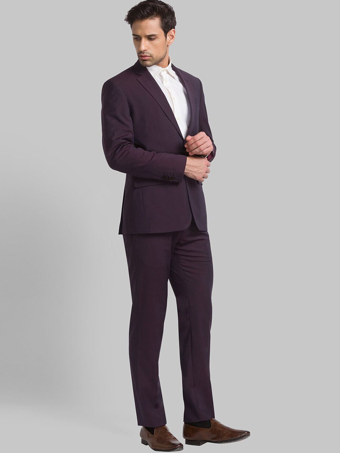 Raymond Men Single Breasted Two Piece Formal Suit
