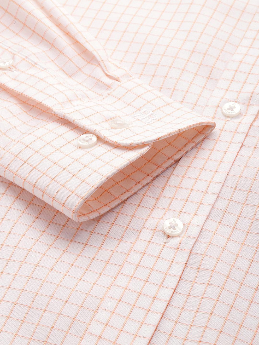 Raymond Slim Fit Checked Pure Cotton Formal Shirt