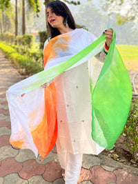 KALINI Ombre Dyed Tricolor Chiffon Dupatta