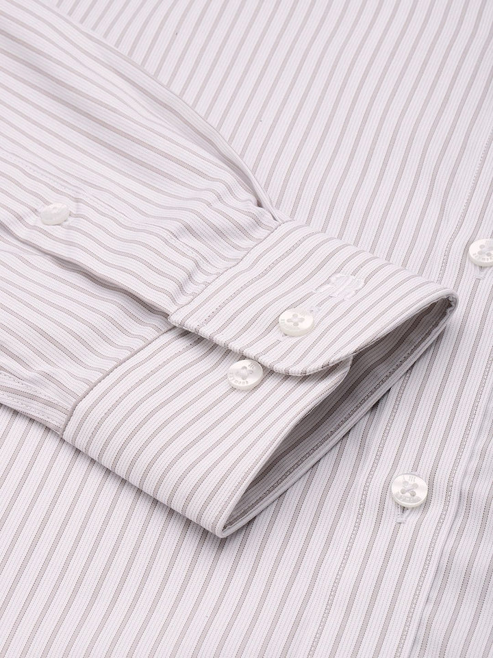 Raymond Slim Fit Vertical Stripes Pure Cotton Formal Shirt