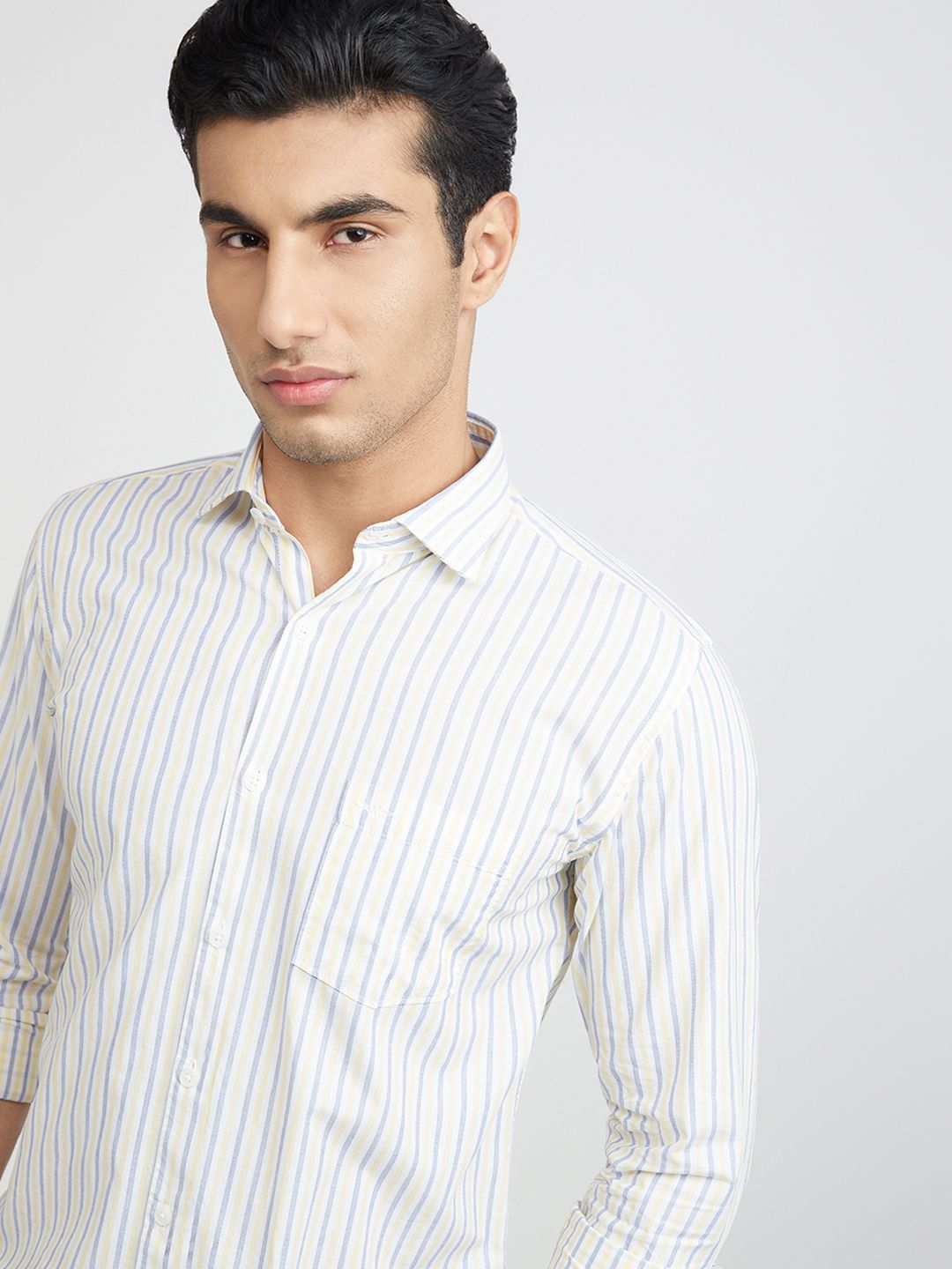 Park Avenue Men Slim Fit Vertical Stripes Opaque Pure Cotton Casual Shirt