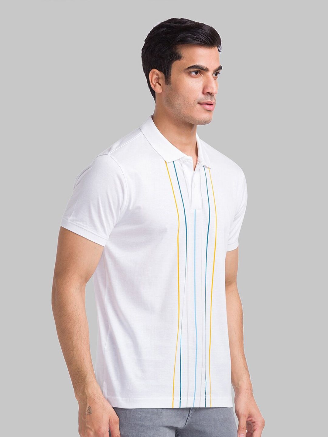 Park Avenue Striped Polo Collar Pure Cotton Slim Fit T-shirt