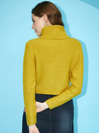 STREET 9 Self Design Turtle Neck Acrylic Pullover