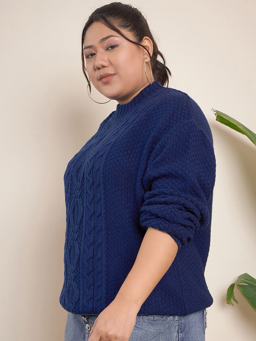 CURVY STREET Cable Knit Self Design Pullover Acrylic Sweater