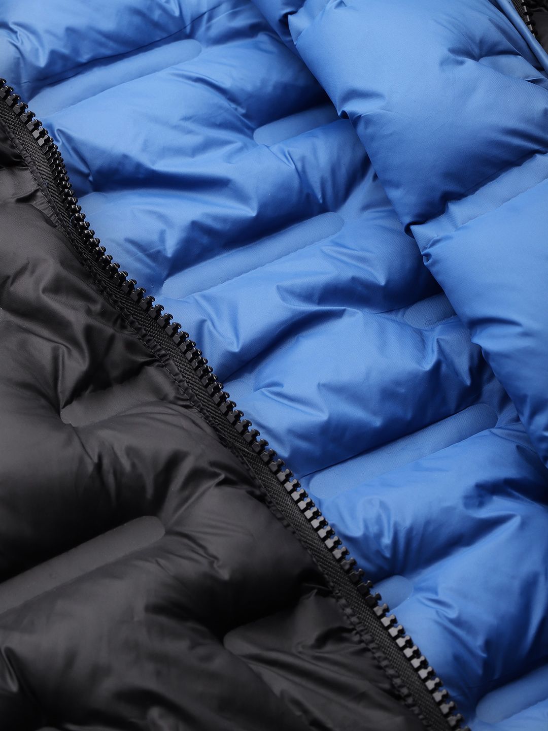 DressBerry Hooded Puffer Jacket