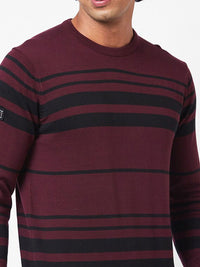 SPYKAR Striped Ribbed Cotton Pullover Sweater