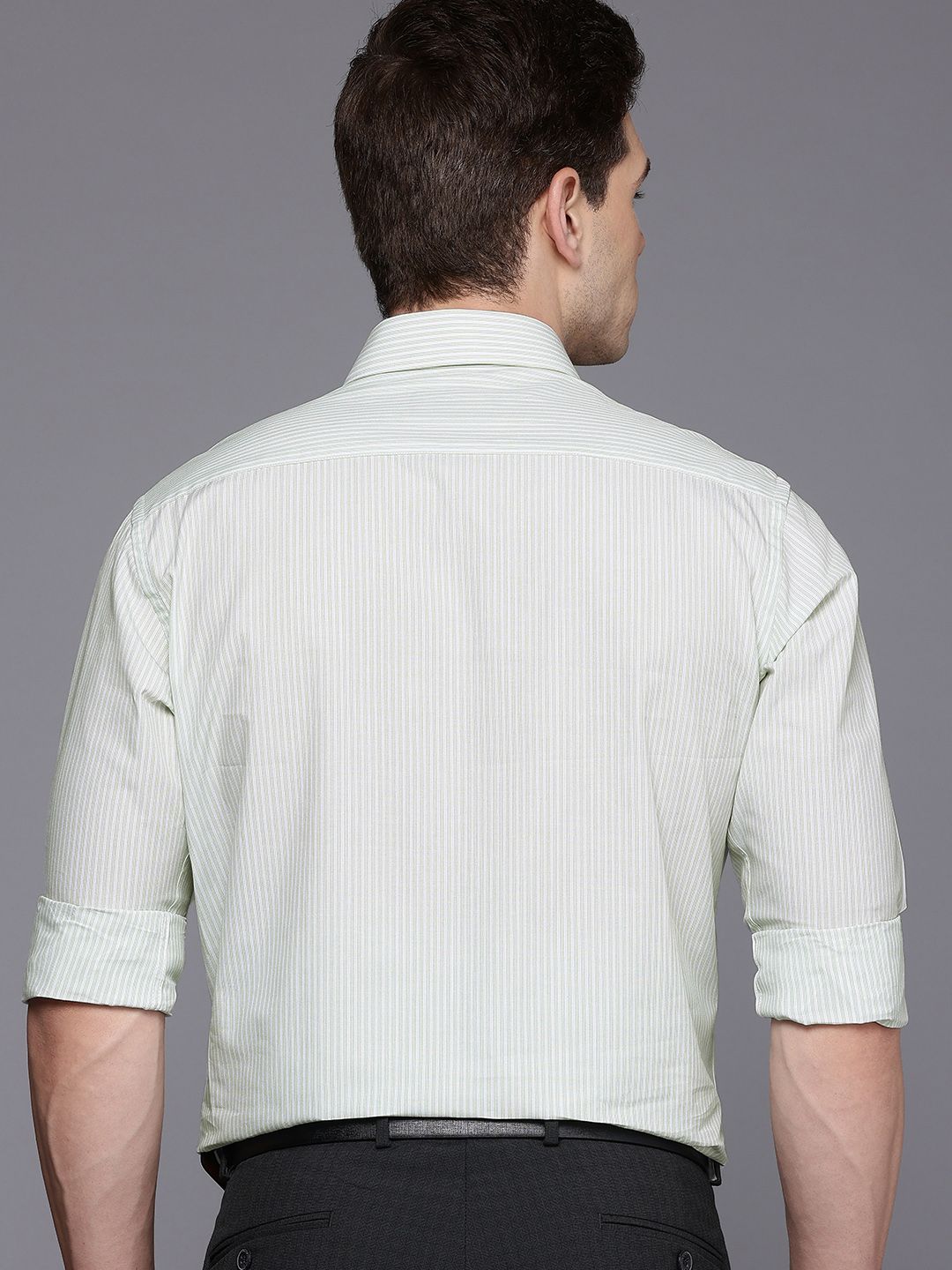 Raymond Slim Fit Striped Pure Cotton Formal Shirt
