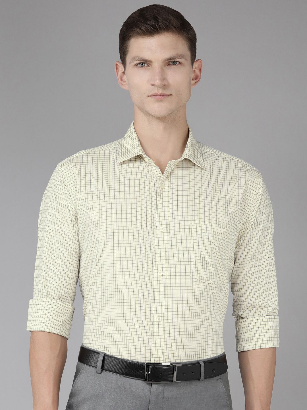 Park Avenue Men Slim Fit Grid Tattersall Checks Opaque Pure Cotton Formal Shirt