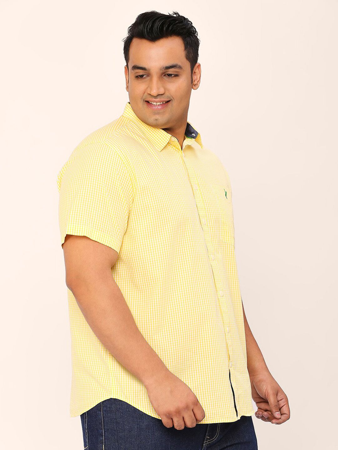 Thomas Scott Plus Size Standard Micro Checked Cotton Casual Shirt