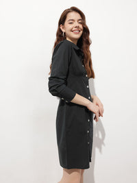 DressBerry New Neutral Reverse Pleats Shirt Dress