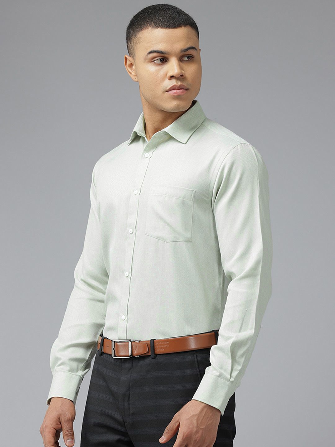Park Avenue Slim Fit Formal Shirt