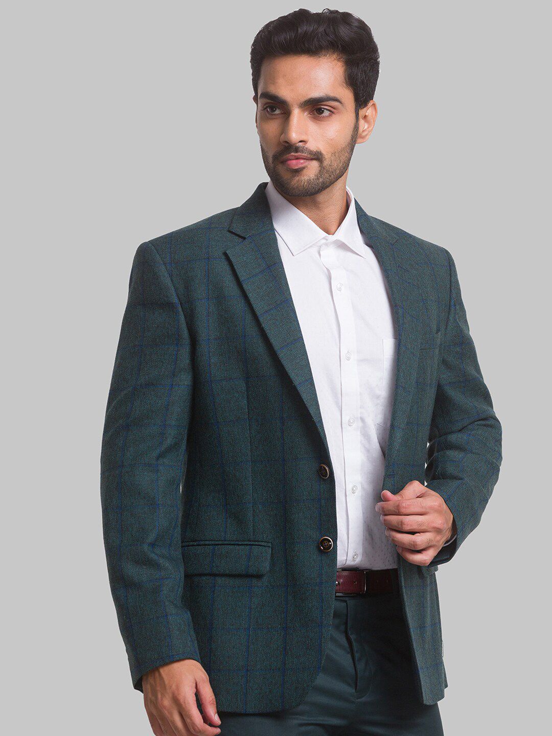 Park Avenue Men Checked Single Breasted Blazers