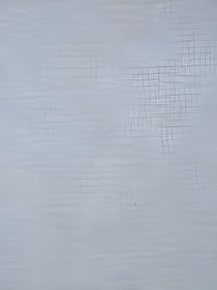 HOSTA HOMES Silver Toned Abstract Black Out Door Curtain