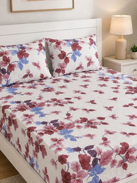 KLOTTHE Cream-Coloured Floral 300 TC King Bedsheet with 2 Pillow Covers