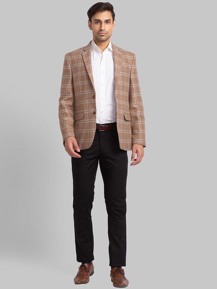 Park Avenue Men Checked Single Breasted Blazers