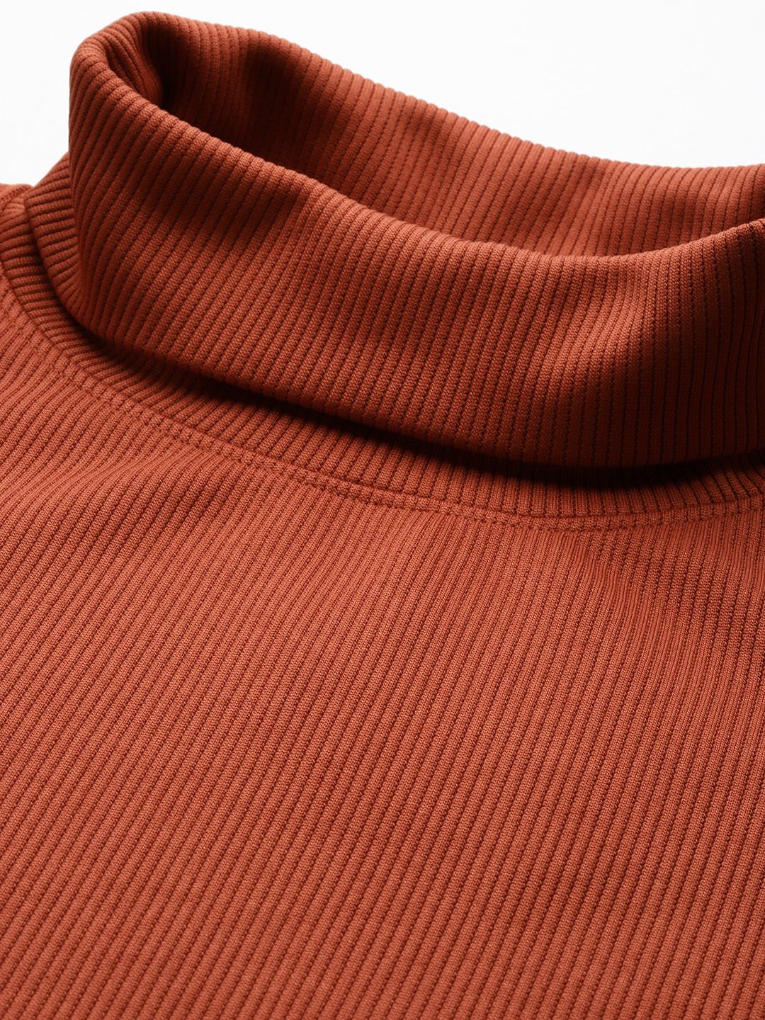 The Indian Garage Co Self Design Turtle Neck Drop-Shoulder Sleeves Sweatshirt