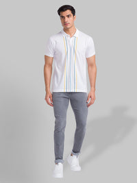Park Avenue Striped Polo Collar Pure Cotton Slim Fit T-shirt