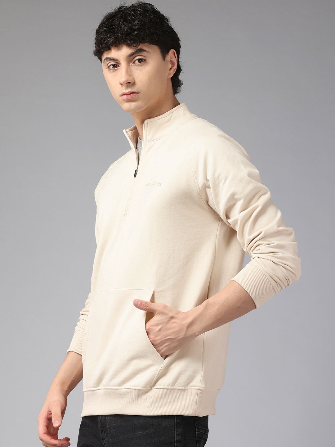 Park Avenue Half Zipper Pullover Sweatshirt