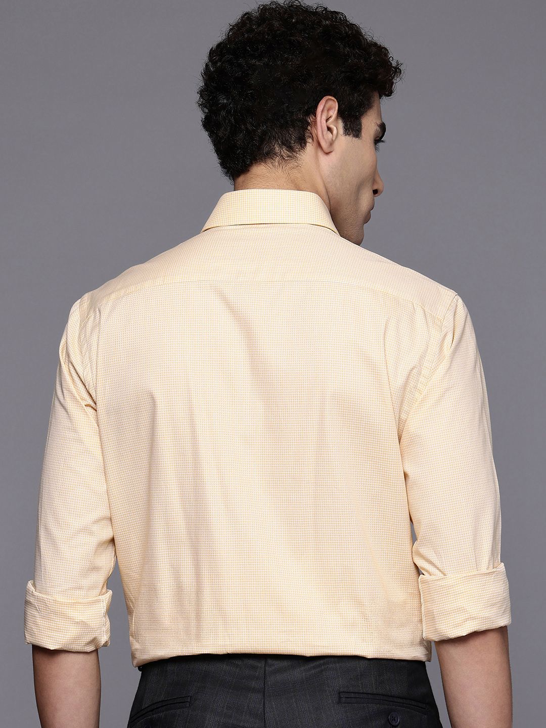 Raymond Slim Fit Checked Pure Cotton Formal Shirt