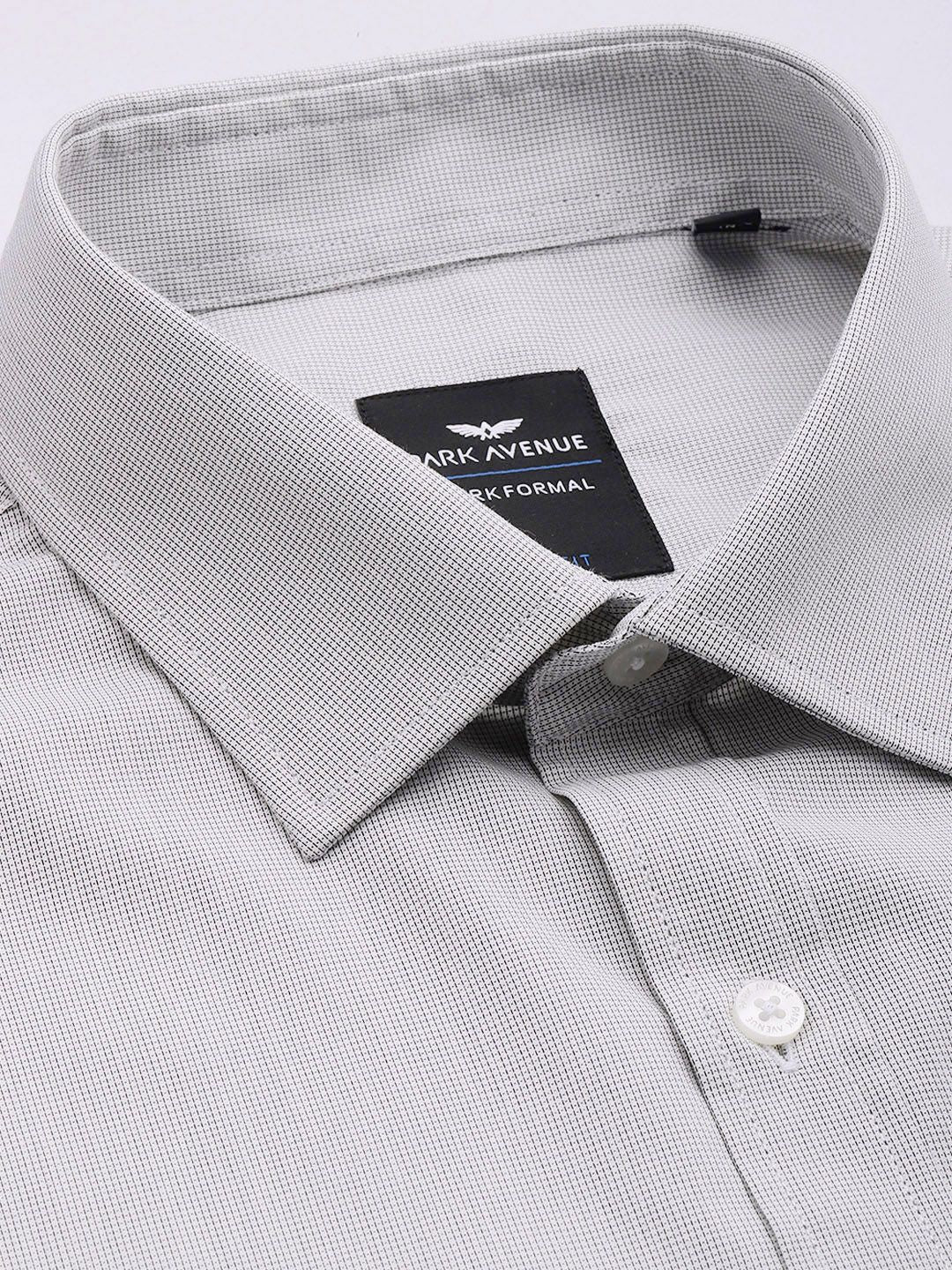 Park Avenue Slim Fit Micro Checks Opaque Formal Shirt