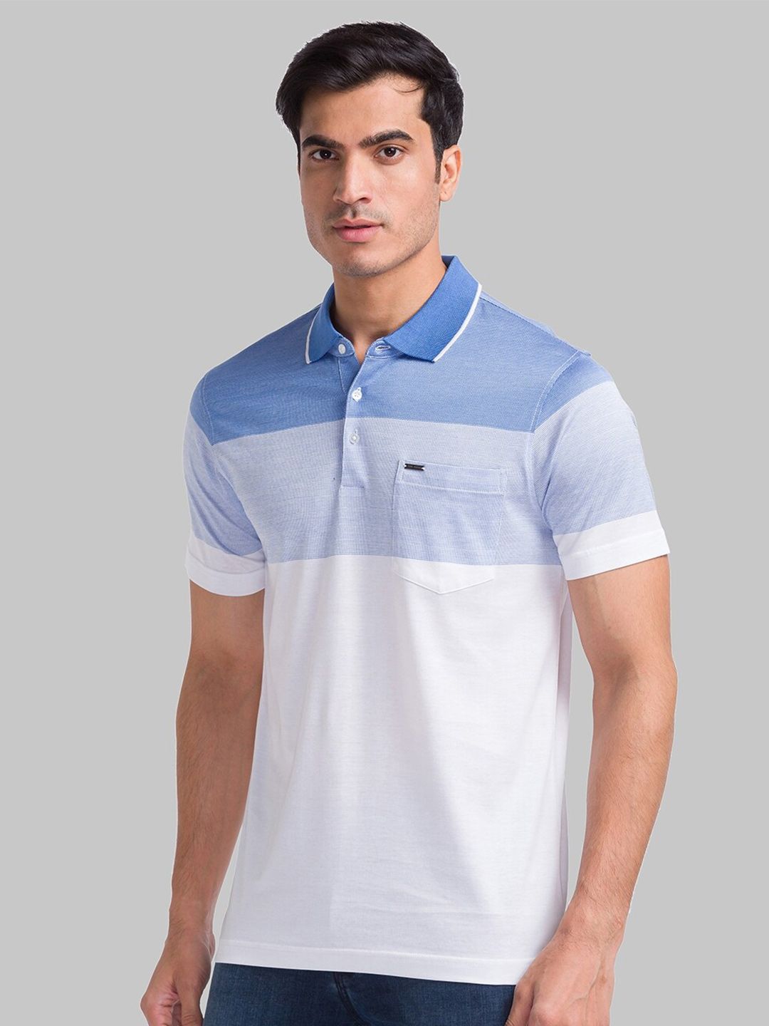 Park Avenue Colourblocked Polo Collar Pure Cotton Slim Fit T-shirt