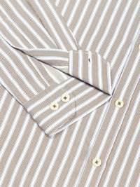 Thomas Scott Men Smart Fit Button-Down Collar Vertical Striped Cotton Formal Shirt