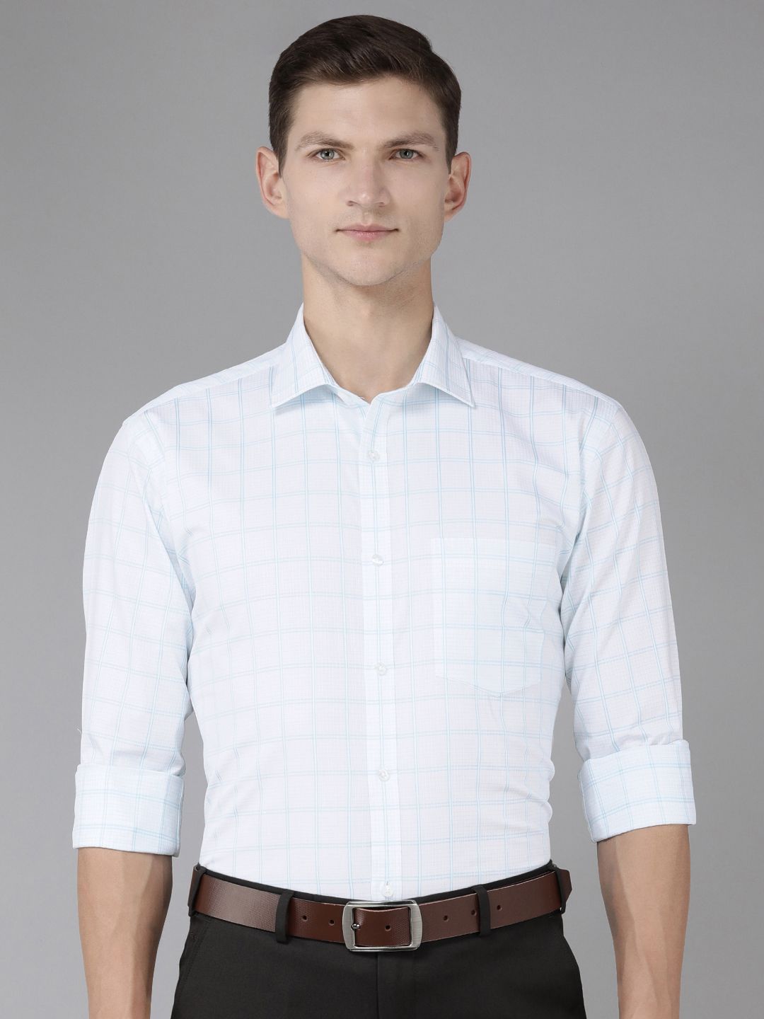 Park Avenue Slim Fit Checked Pure Cotton Formal Shirt