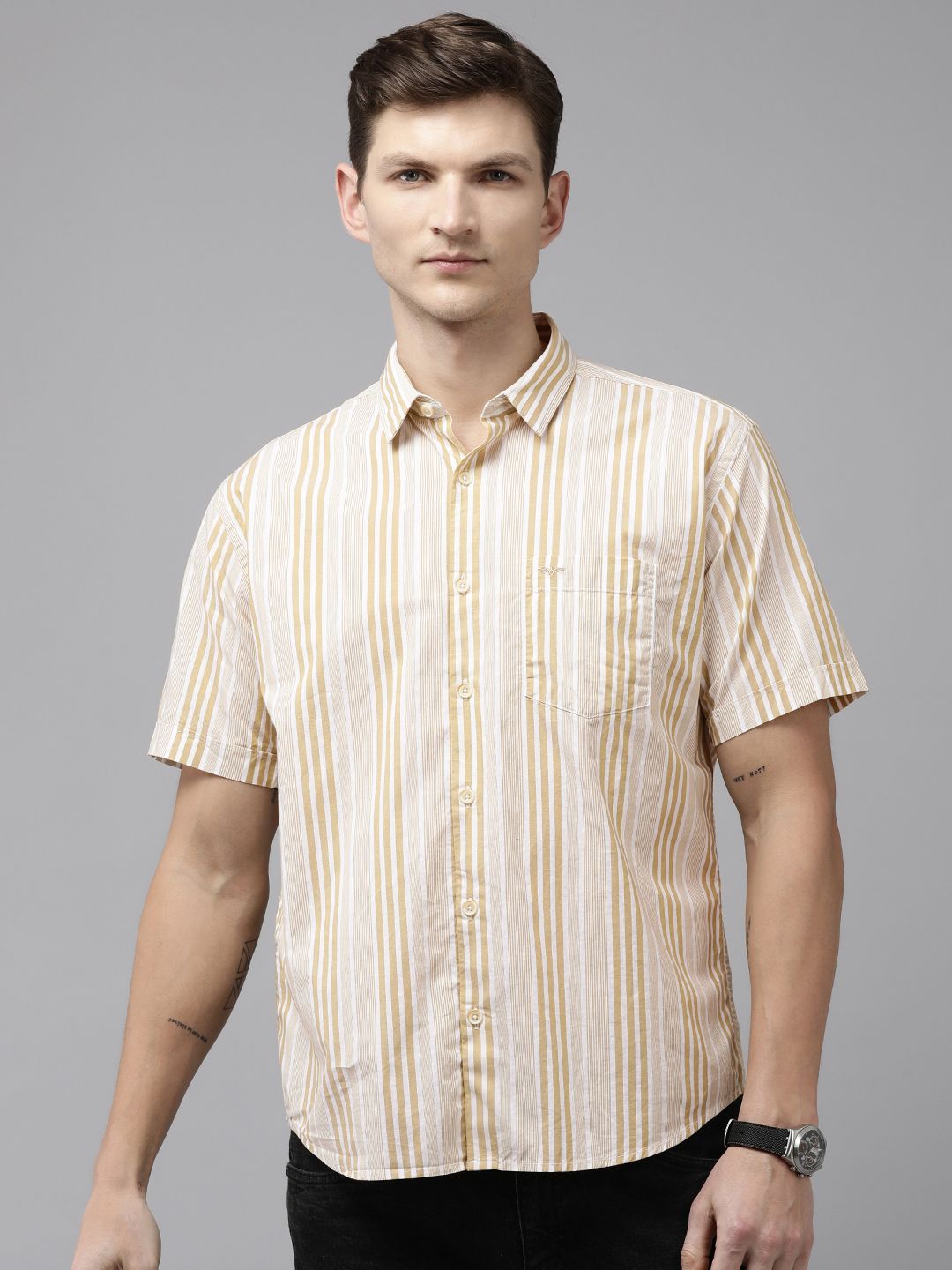 Park Avenue Slim Fit Striped Pure Cotton Casual Shirt