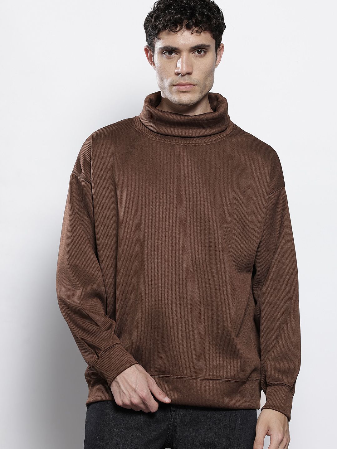The Indian Garage Co Self Striped Turtle Neck Relaxed Fit Sweatshirt