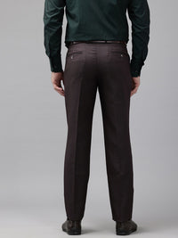 Park Avenue Men Formal Trousers
