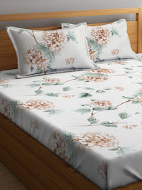 KLOTTHE White & Peach Floral Printed 300 TC King Bedsheet with 2 Pillow Covers