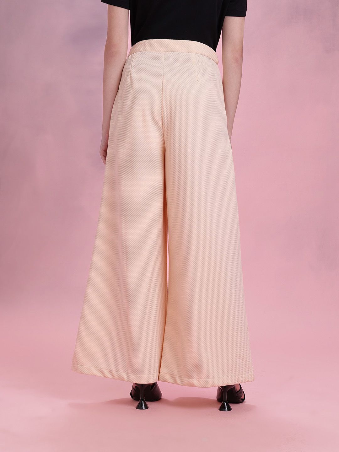 DressBerry Women Textured High-Rise Pleated Wide-Leg Trousers
