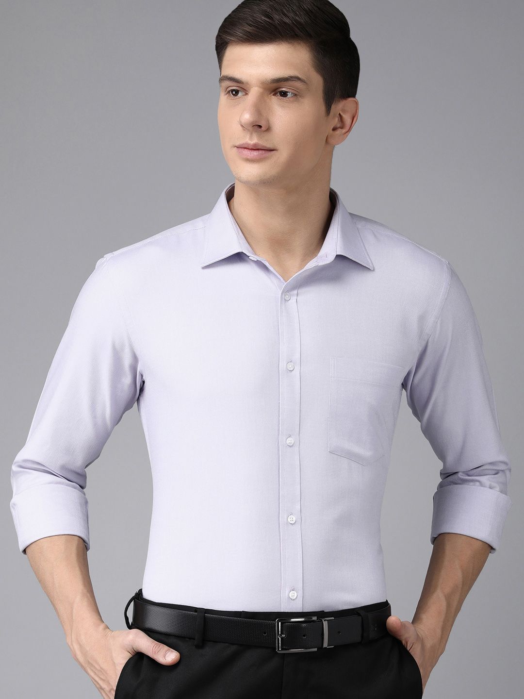 Park Avenue Men Light Purple Self Design Slim Fit Pure Cotton Formal Shirt