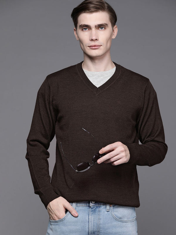 Raymond Men Solid Pullover