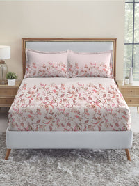MYTRIDENT White & Peach Floral 210 TC Cotton Fitted King Bedsheet with 2 Pillow Covers