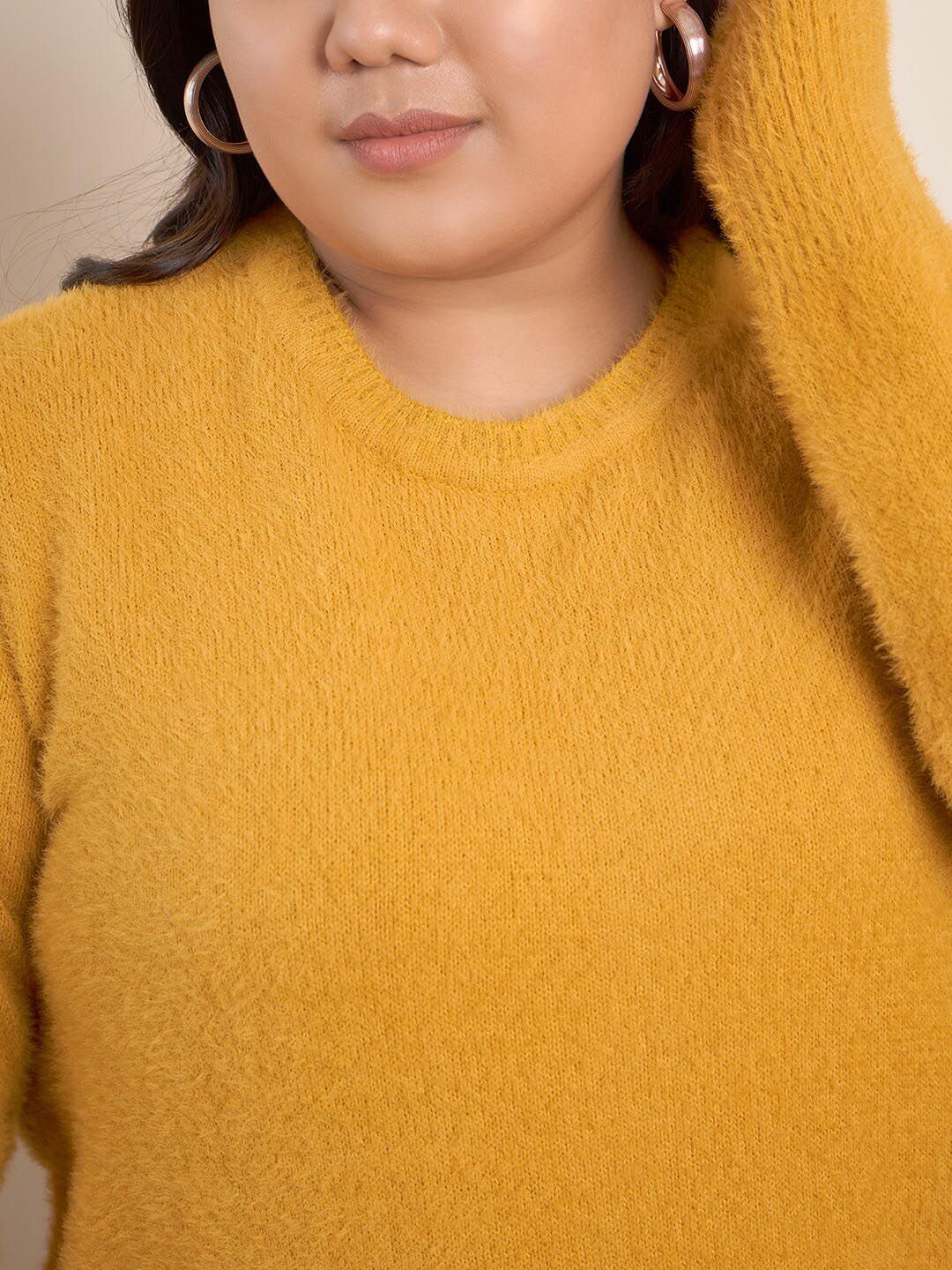 CURVY STREET Cable Knit Self Design Pullover Acrylic Sweater