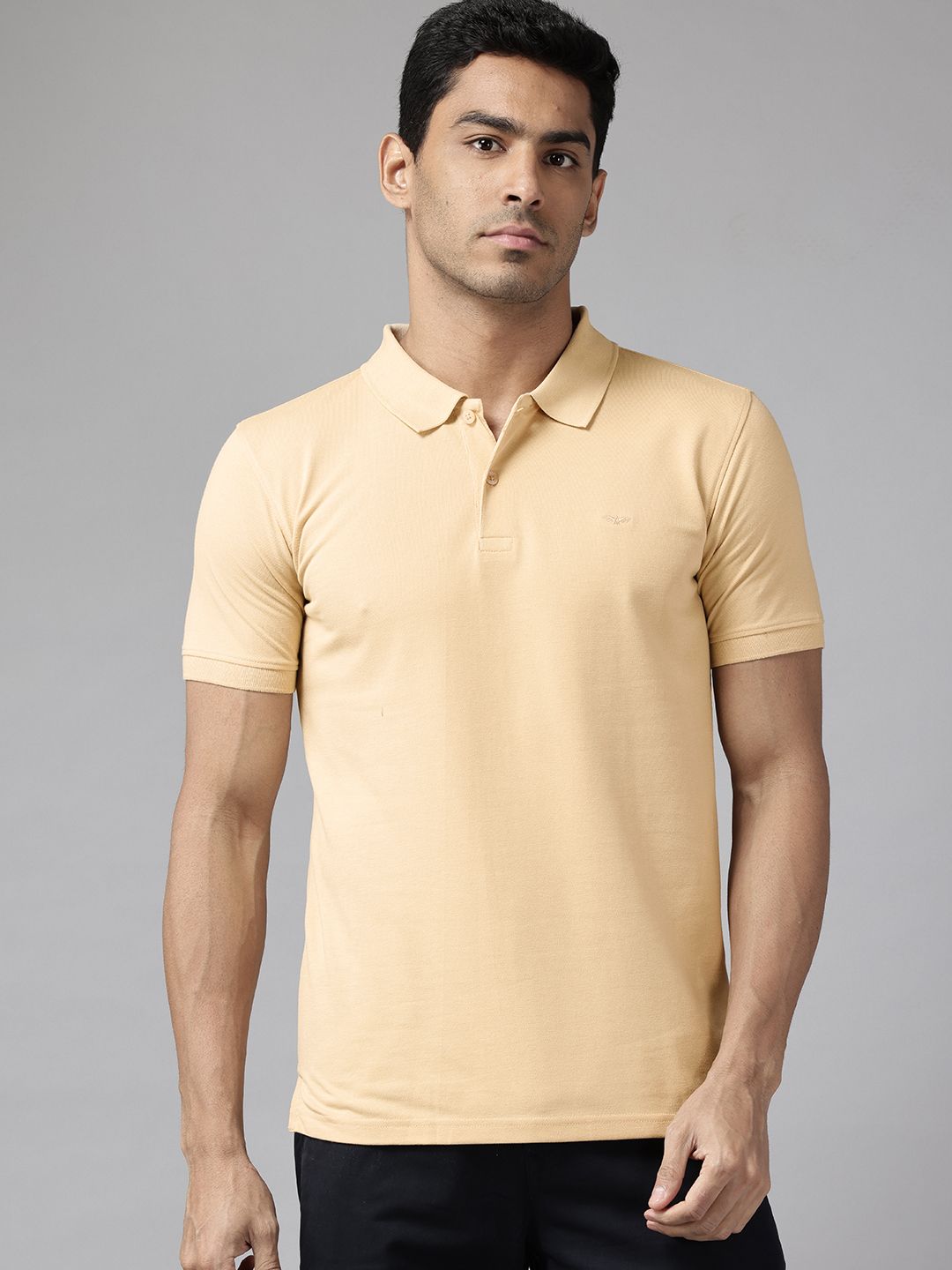 Park Avenue Solid Polo Collar T-shirt