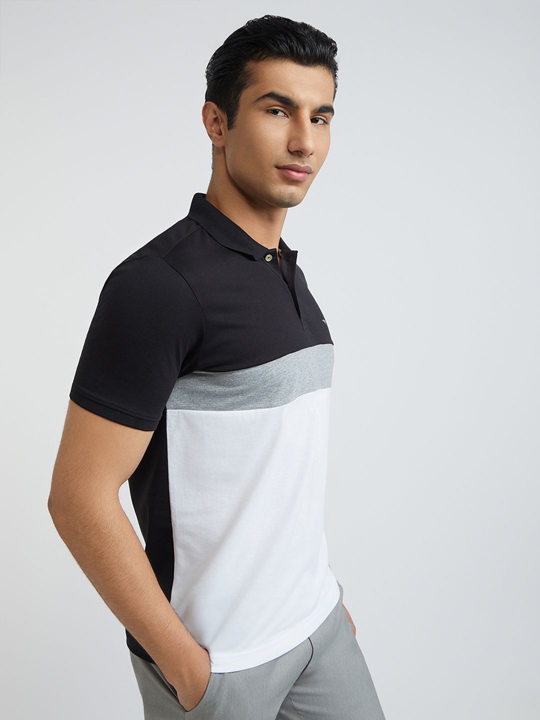 Park Avenue Colourblocked Polo Collar Slim Fit T-shirt
