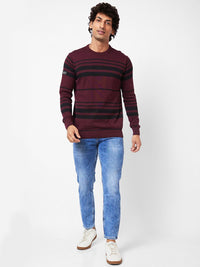 SPYKAR Striped Ribbed Cotton Pullover Sweater
