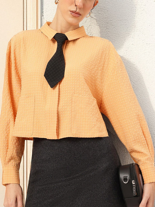 DressBerry Striking Silhouette Seersucker Shirt with Tie