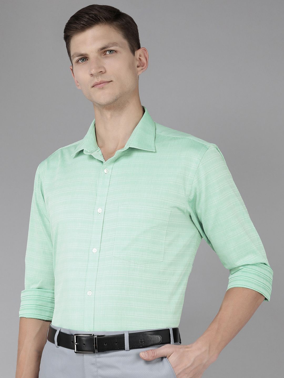 Park Avenue Slim Fit Striped Pure Cotton Formal Shirt