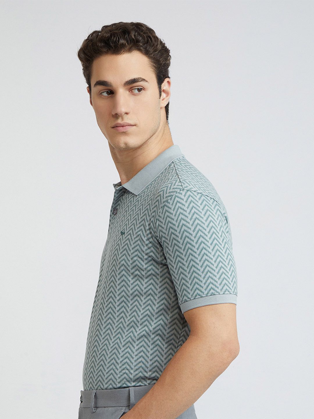Park Avenue Printed Polo Collar Slim Fit T-shirt