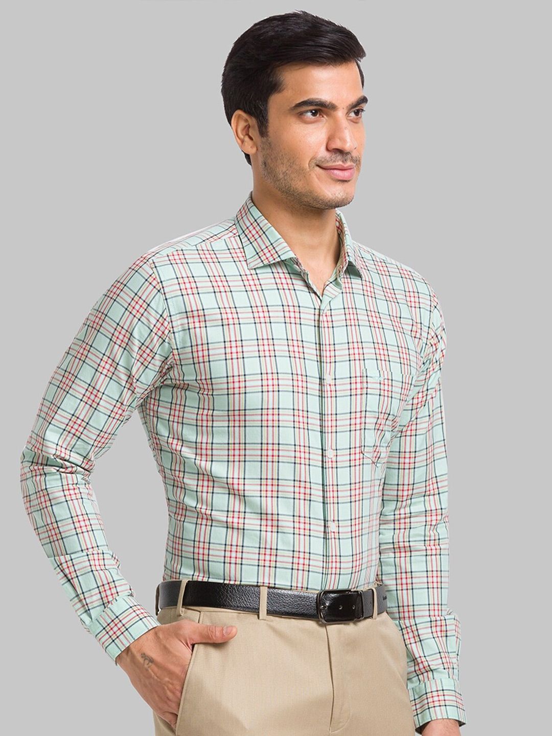 Park Avenue Slim Fit Checked Pure Cotton Formal Shirt