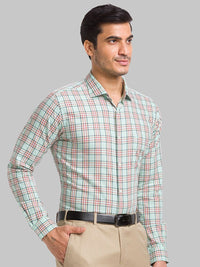 Park Avenue Slim Fit Checked Pure Cotton Formal Shirt